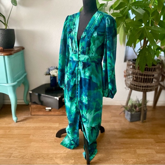 NWT Runaway The Label Calista Deep-V Button Front Long Sleeve Sheer Midi Dress - Picture 13 of 16